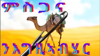 ምስጋና ንእግዚኣብሄር ይግባእ 33 Msgana N Egziabhier ygbae [upl. by Chil228]