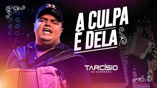 A CULPA É DELA  Tarcísio do Acordeon ÁUDIO OFICIAL [upl. by Cramer395]