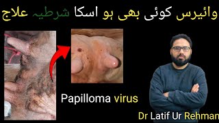 Bovine Papilloma Viruswarts pox virusdr latif Ur Rehman [upl. by Ennael]