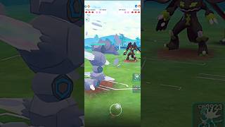 100 Zygarde VS Mega Steelix PVP Ground Battle in pokemongo [upl. by Krum940]