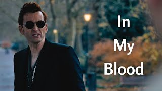 quotIn My Bloodquot by Shawn Mendes  Good Omens Fan Edit [upl. by Lemor]