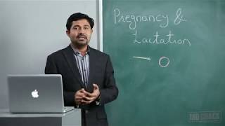 PHYSIOLOGY PREGNANCY amp LACTATION [upl. by Samantha772]