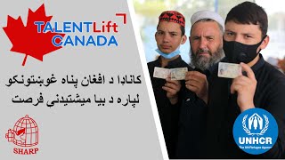 Canada Resettlement Opportunity for UNHCR Afghan Asylum Seekers and Refugees in Pakistan [upl. by Anibor]