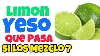 Limon Y YESO  Que Pasa Si Los Mezcló [upl. by Jefferson]