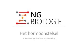 Het hormoonstelsel  hormonale regulatie van de gaswisseling  VWO [upl. by Nicky641]