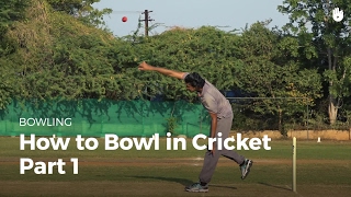 How to Bowl in Cricket  Part 1  Cricket [upl. by Pulchia]