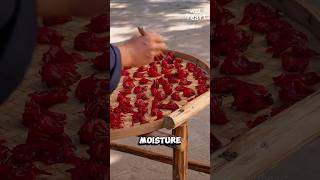 Processing Roselle Candies [upl. by Kriste34]