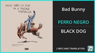 Bad Bunny PERRO NEGRO Lyrics English Translation ft FEID Spanish and English Dual Lyrics [upl. by Birkett600]