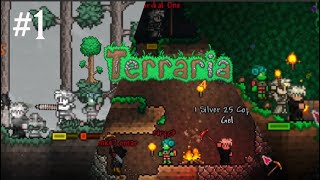 Terraria 1  The Ultimate Multiplayer Experience Begins [upl. by Natika]