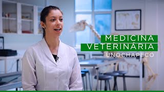 Medicina Veterinária  Conheça o Curso de Graduação da Unochapecó [upl. by Xonnel]