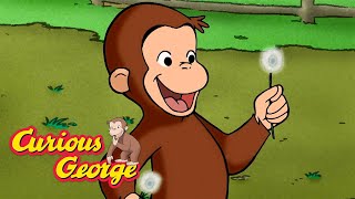 George Plants New Wildflowers 🐵 Curious George 🐵 Kids Cartoon 🐵 Kids Movies [upl. by Alemaj]