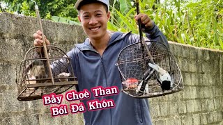 Bẫy Choè Than Cực Vui Mồi Gấu Gặp Bổi Đá Khôn  Giải Trí Cuối Tuần 19102024 [upl. by Yenahc]