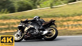 Aprilia RSV4 1100 Factory Exhaust Sound [upl. by Yntrok]