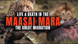 The Epic Struggle of Life amp Death During the Great Migration in the Maasai Mara Kenya Africa [upl. by Eceinwahs]