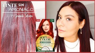 🔮✨️Tinte sin amoniaco Soft Color Wella  7745 GRANADA INTENSO  Tinte Rojo en cabello Oscuro👩‍🦱 [upl. by Ferriter697]