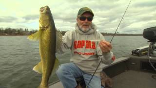 Rapala® Scatter Rap® Minnow [upl. by Muiram]