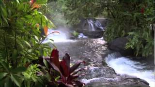 Discover Costa Rica [upl. by Noyek]