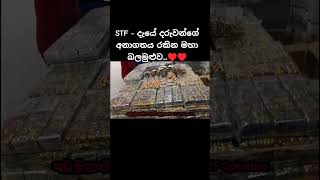 STF කියන්නේ බ්‍රෑන්ඩ් එකක්♥️♥️ [upl. by Neelyaj103]