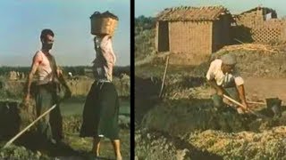 Produzione di tegole e mattoni nel Campidano di Oristano 1951 [upl. by Gerge]