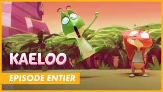 KAELOO  Episode entier quot Et si on jouait aux vacances naufragésquot  CANALkids [upl. by Bierman]