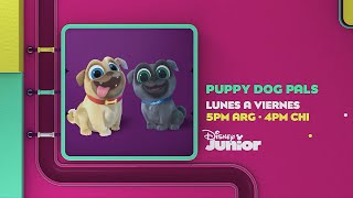 Disney Junior  Promo quotPuppy Dog Palsquot en La Hora Sorpresa Mayo 2024 [upl. by Ainomar]