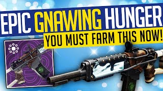 The GNAWING HUNGER is the BEST TOPTIER WEAPON that No One is Using in Destiny 2 Lightfall [upl. by Orodoet]