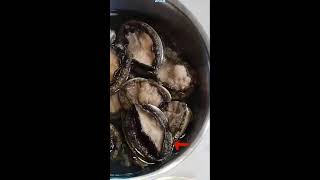 Part 07ABALONE ASMRThe Fresher the Better [upl. by Annaerdna]