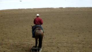 2008 Extreme Mustang Makeover Finalist David Carter and Silverado [upl. by Isis]