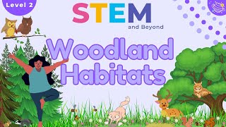 Woodland Habitats KS1 Year 2 Science  STEM Home Learning [upl. by Eugenie384]