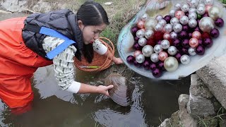 A rare giant pearl clam appears in the river When you open it you can see many pearls [upl. by Noscire]