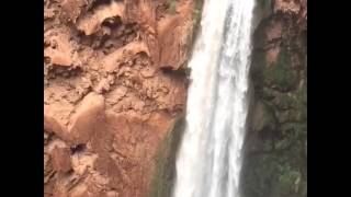 Havasu Falls Flash Flood [upl. by Anaid]