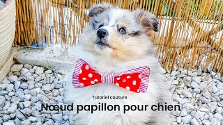 TUTORIEL COUTURE  NOEUD PAPILLON POUR CHIEN [upl. by Ihsoyim]