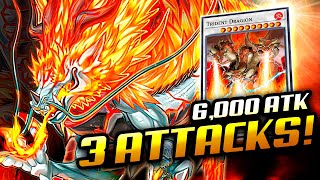 TENPAI DRAGON Deck 30000 BATTLE DAMAGE❗  NEW From Legecy of Destruction [upl. by Nema]