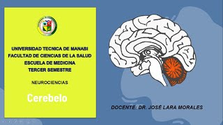 CEREBELO anatomía vías aferenteseferentes fisiología y correlatos clínicos [upl. by Cogen999]