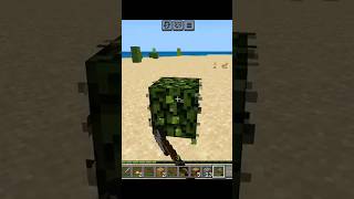 I found a Rabbit then this happened 😕  MINECRAFT [upl. by Ennahgiel785]