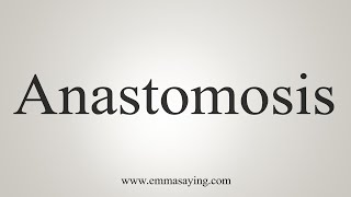 How To Say Anastomosis [upl. by Eicrad]