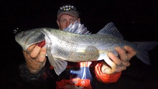 The Best Shore Fishing Trip Ever  BIG Bass Gilthead Bream  Float Fishing For Garfish [upl. by Eniger]