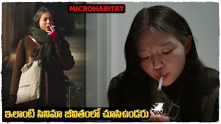 Microhabitat Movie explained in telugu  Voice Of Naveen [upl. by Sixla730]