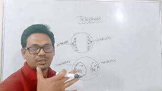 mitosisTelophase class 10 science chapter 2 life processes in living organismsTelophase [upl. by Akcired781]