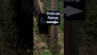 Bear Sighting Gatlinburg Tennessee [upl. by Ssegrub]