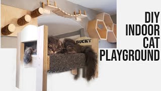 Ultimate DIY Indoor Cat Playground You Cant Miss [upl. by Nnaesor]