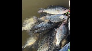 Crappie fishing under a bridge in the winter time Tips on presentation Hobie Lynx out on the water [upl. by Maure194]