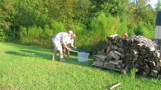 Catching A HUGE Water Moccasin [upl. by Beker]