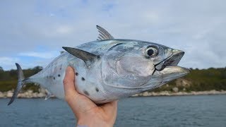 How To Catch False Albacore albies on Cape Cod with quotAlbie Snaxquot [upl. by Elspeth81]