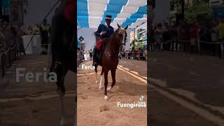 Feria Fuengirola caballos horse viralvideo [upl. by Fletcher]