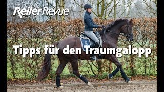 Tipps für den Traumgalopp [upl. by Tedd]