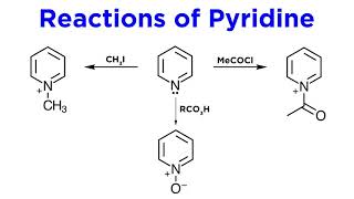 Heterocycles Part 2 Pyridine [upl. by Ennove783]