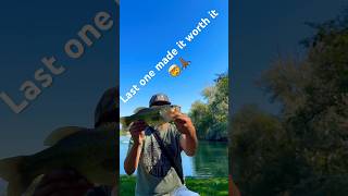 Bite after bite 😂bassfishing fishing sportfish trout shimano yamamotobaits bluegill [upl. by Centeno409]