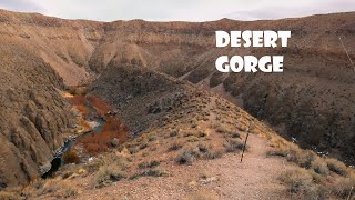 Owens River Gorge Fishing [upl. by Donnenfeld]