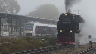 Harzer Schmalspurbahn 2024  Nebelschwaden auf der Selketalbahn  quotGoldener Oktoberquot [upl. by Anenahs]